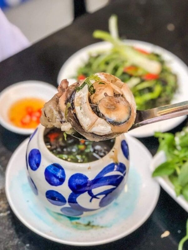 mắt cá người phú yên